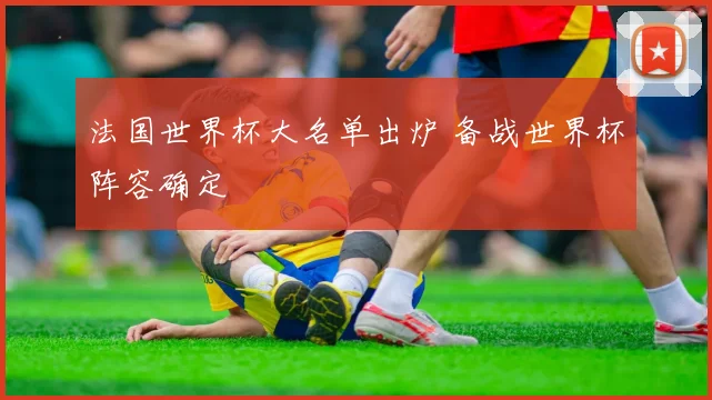 法国世界杯大名单出炉 备战世界杯阵容确定